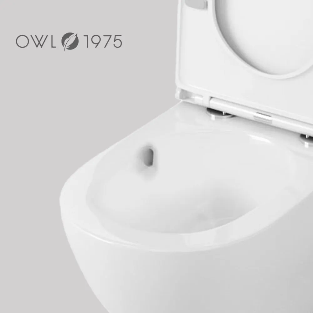 Унитаз Owl 1975 Wave Cirkel-H TOWLT190801 подвесной, с микролифтом, система смыва Торнадо, белый от магазина Vanna-Vanna.ru!