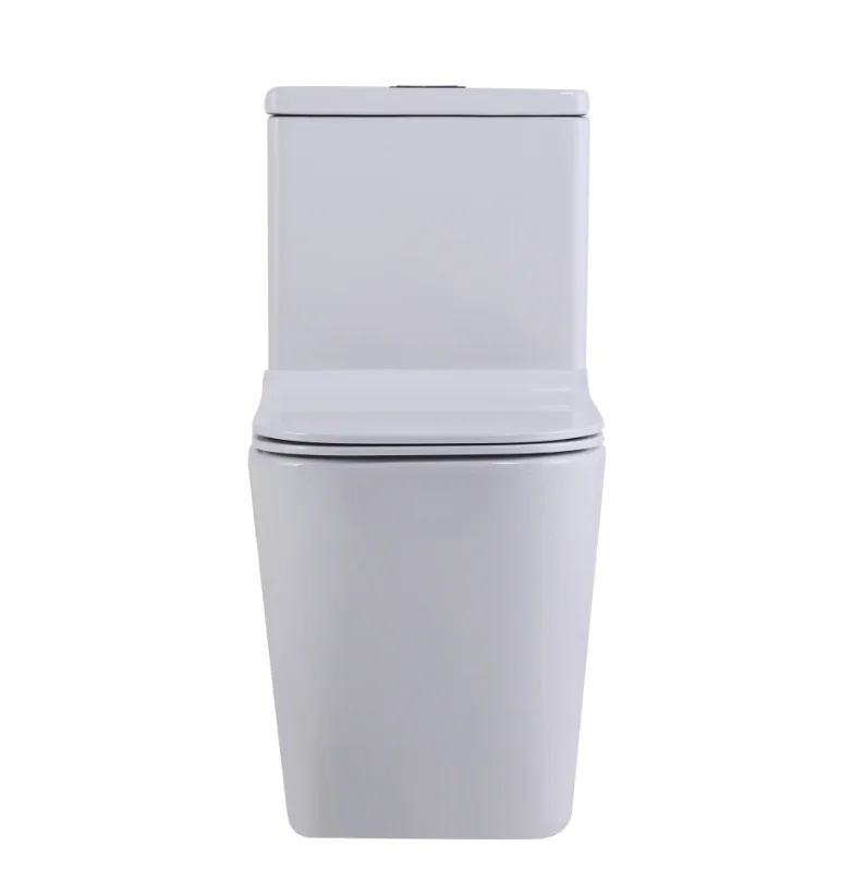 Унитаз SantiLine SL-5024 напольный, безободковый, моноблок, белый от магазина Vanna-Vanna.ru!