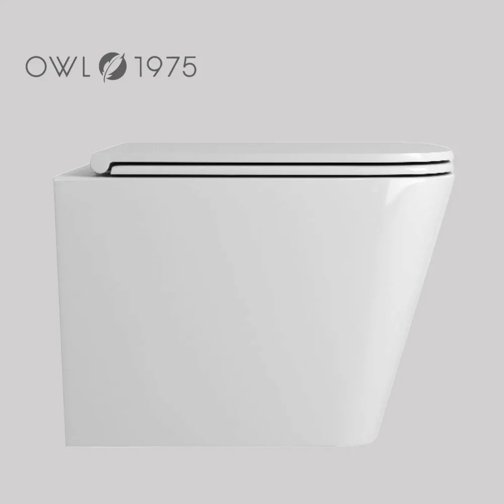 Унитаз Owl 1975 TOWLT190403S Vatter Ruta-H mini подвесной, с микролифтом, система смыва Торнадо, белый от магазина Vanna-Vanna.ru!