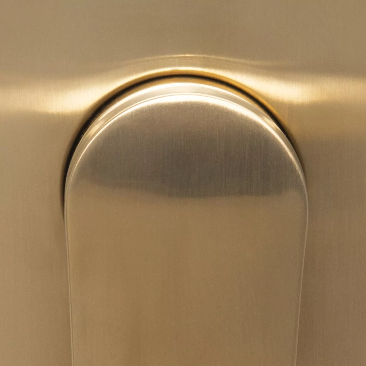 Гигиеническая лейка Wasserkraft A213 с фиксатором, матовое золото