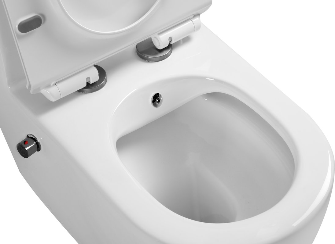 Унитаз-биде SantiLine SL-5011SM-BD напольный, безободковый, белый