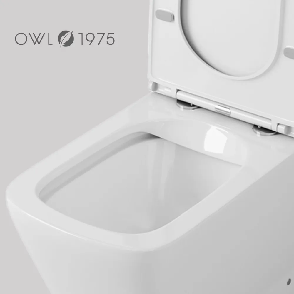 Унитаз Owl 1975 ИМOWLT200901 Gap Ruta-G напольный, компакт, с микролифтом, белый от магазина Vanna-Vanna.ru!