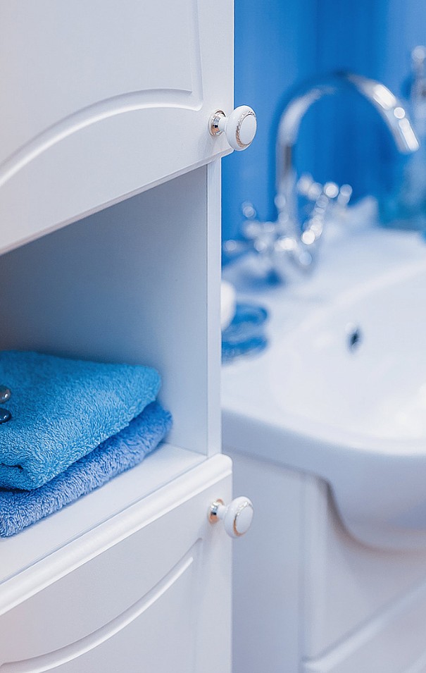 Шкаф-пенал Sanflor Карина 32 L