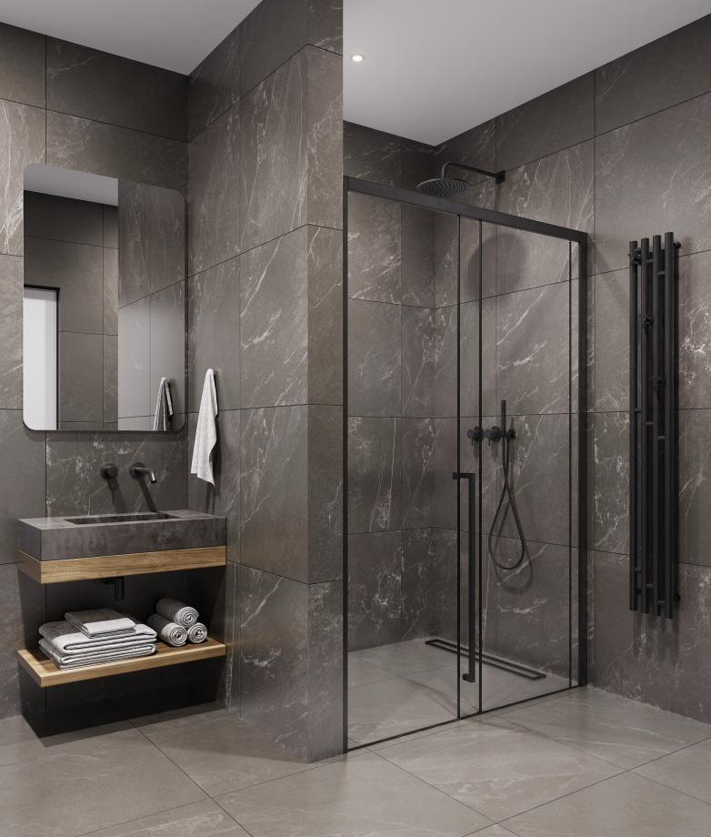 Душевая дверь Timo TDSS-120/03C-8L, 1200*2000, профиль черный, стекло прозрачное 8 мм