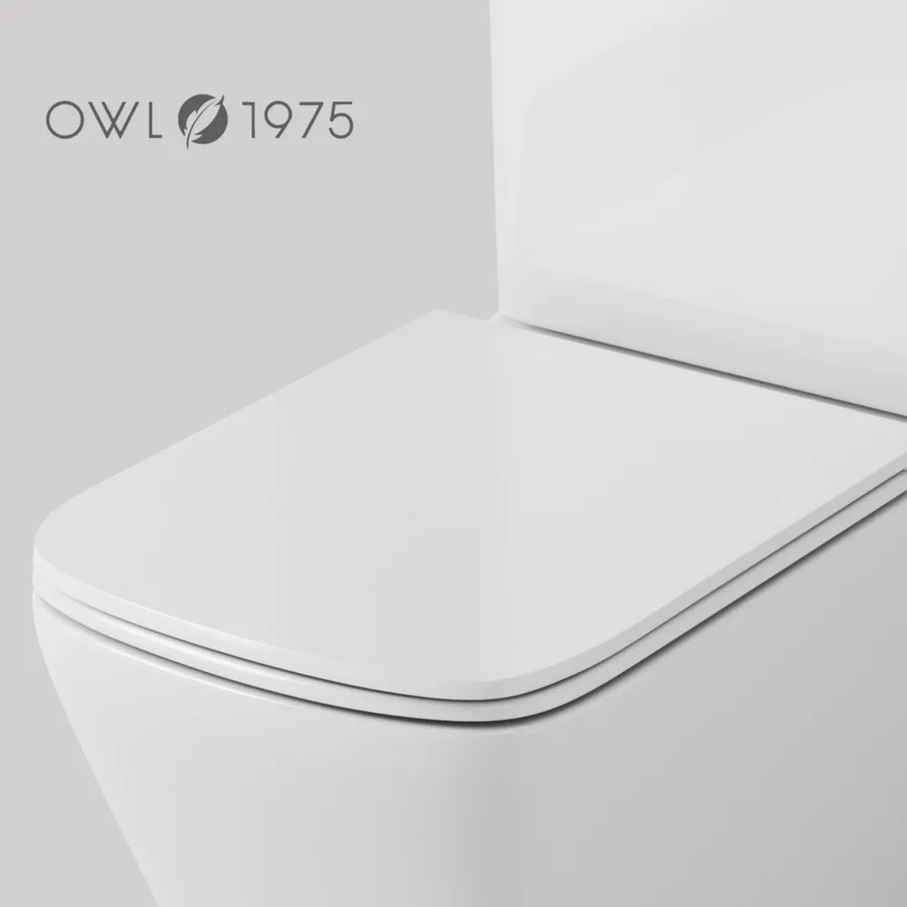 Унитаз Owl 1975 ИМOWLT200901 Gap Ruta-G напольный, компакт, с микролифтом, белый от магазина Vanna-Vanna.ru!