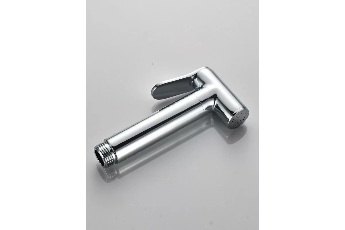 Смеситель с гигиеническим душем ALMAes Agata AL-877-01 хром