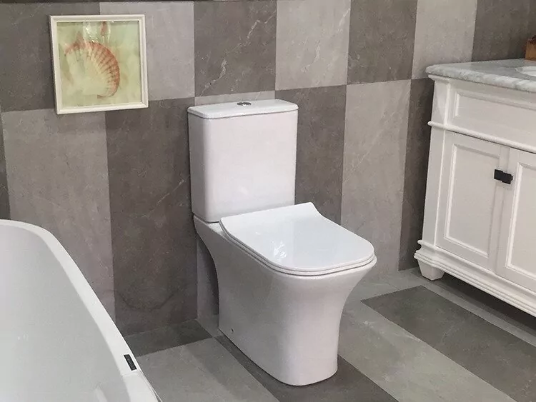 Унитаз Cerutti Spa Vettore MW CT9240 напольный, компакт, с горизонтальным выпуском, белый матовый