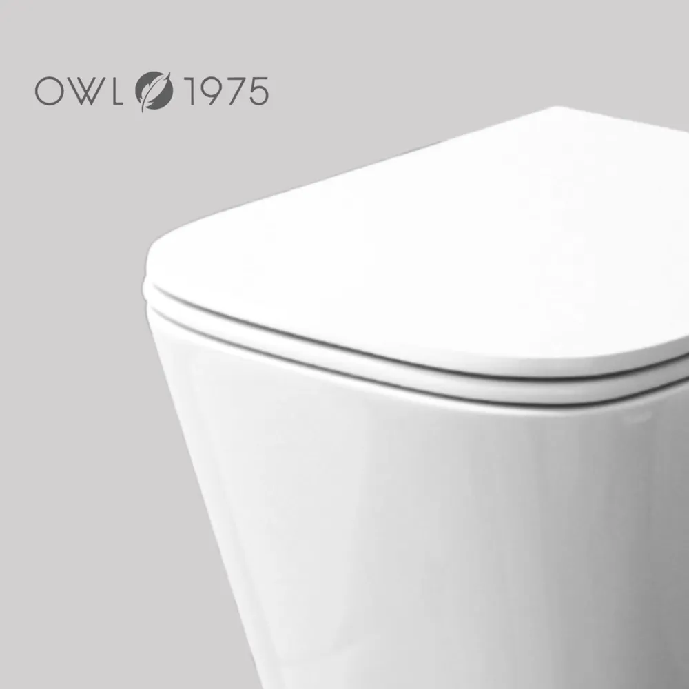 Унитаз Owl 1975 TOWLT190403S Vatter Ruta-H mini подвесной, с микролифтом, система смыва Торнадо, белый от магазина Vanna-Vanna.ru!