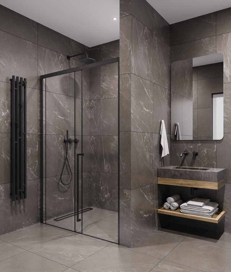 Душевая дверь Timo TDSS-120/03C-8R, 1200*2000, профиль черный, стекло прозрачное 8 мм