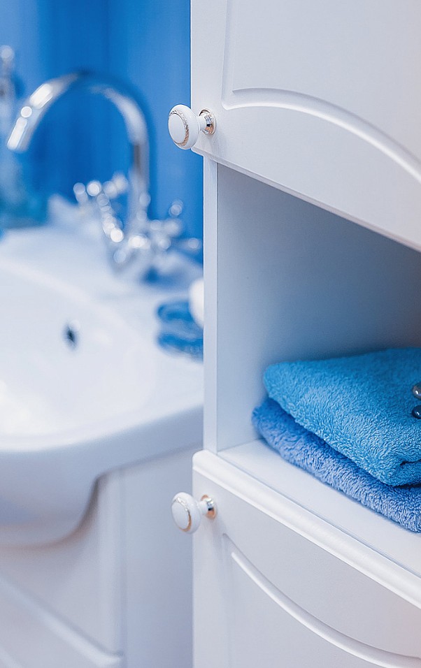 Шкаф-пенал Sanflor Карина 32 R