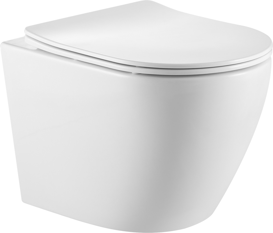Унитаз подвесной SantiLine SL-5025+SL-01 с инсталляцией и кнопкой, белый