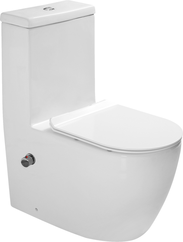 Унитаз-биде SantiLine SL-5011SM-BD напольный, безободковый, белый