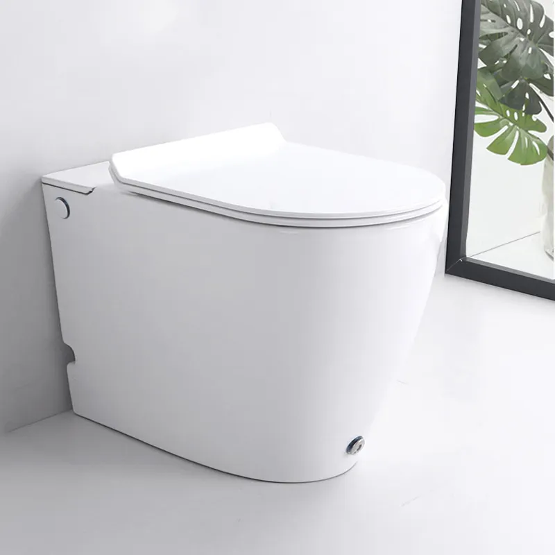 Унитаз Cerutti Spa  BARBARIA Pulse CT7264 приставной, импульсный, белый