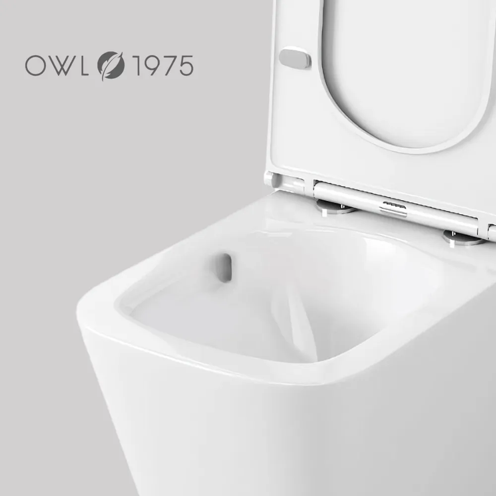 Унитаз Owl 1975 TOWLT190403S Vatter Ruta-H mini подвесной, с микролифтом, система смыва Торнадо, белый от магазина Vanna-Vanna.ru!